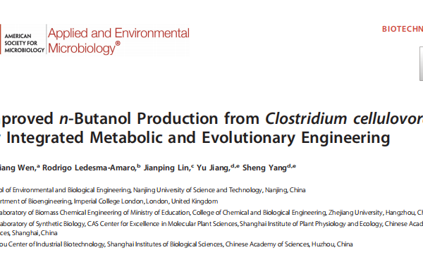 Improved n-Butanol Production from Clostridium cellulovorans