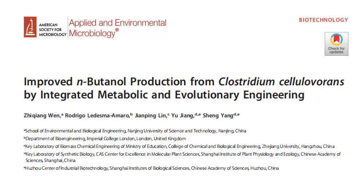 Improved n-Butanol Production from Clostridium cellulovorans