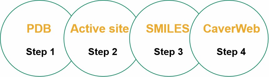 Our representative scheme of the steps that were performed in the computational analysis.