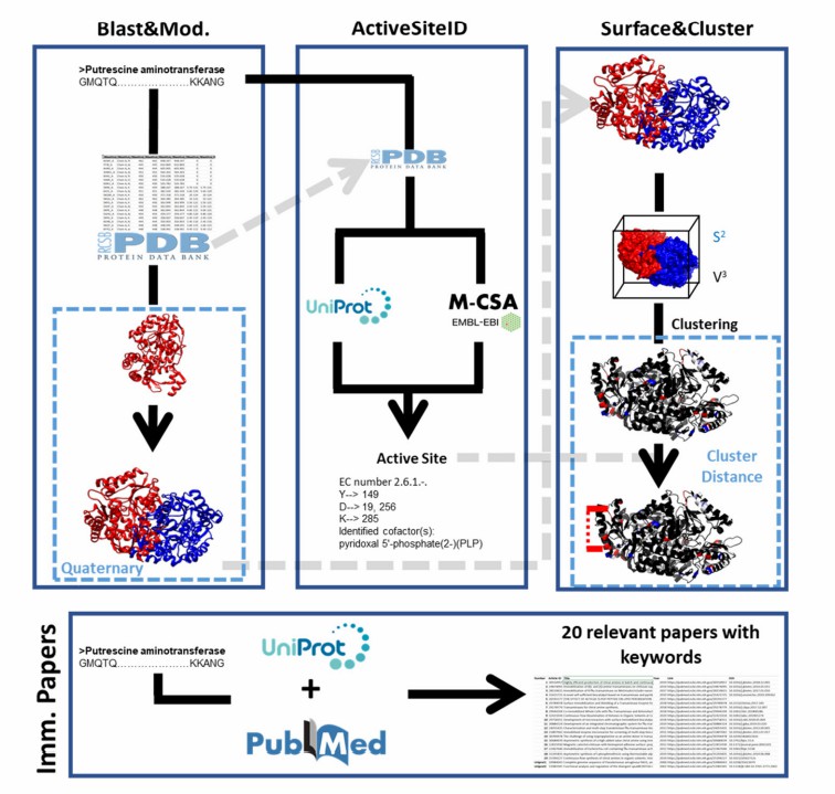 Enzyme Immobilization - CD Biosynsis