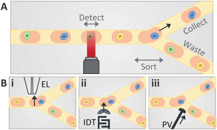 Enzyme Substrate Prediction model.