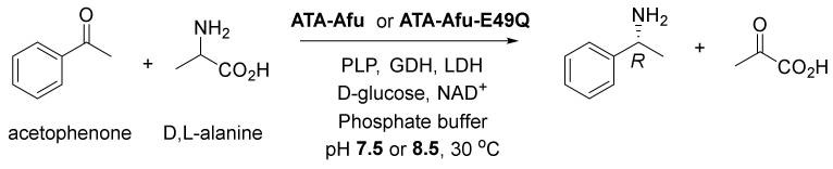 Shifting the pH Optima of (R)-Selective Transaminases by Protein Engineering.