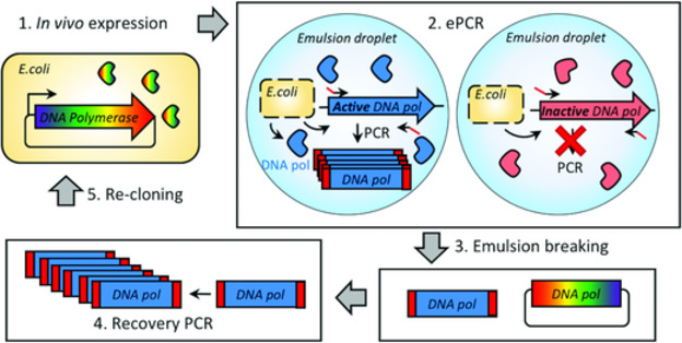 Fig. 1 General CSR concept and procedure schematic. (Abil Z, et al., 2018)