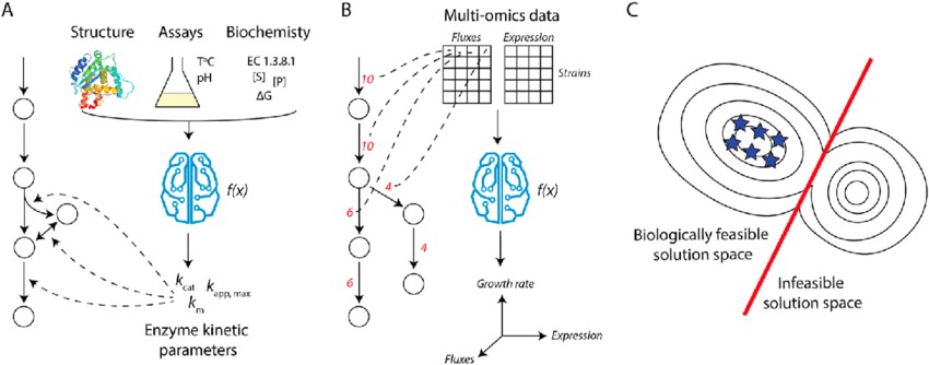 Integrating machine learning and mechanistic models (Christopher E. Lawson, et al., 2020)