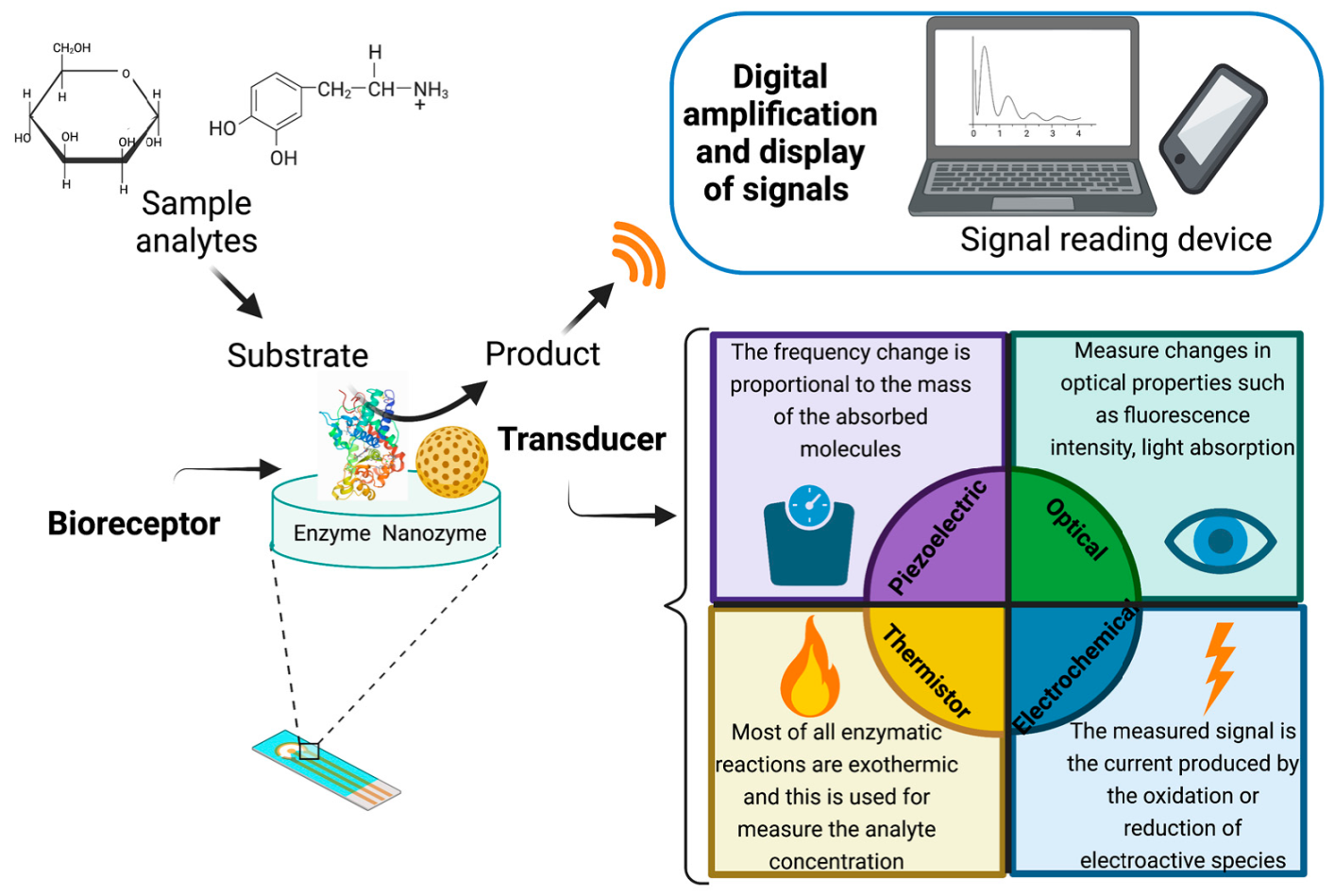 Major biosensing elements and their mechanisms of action.