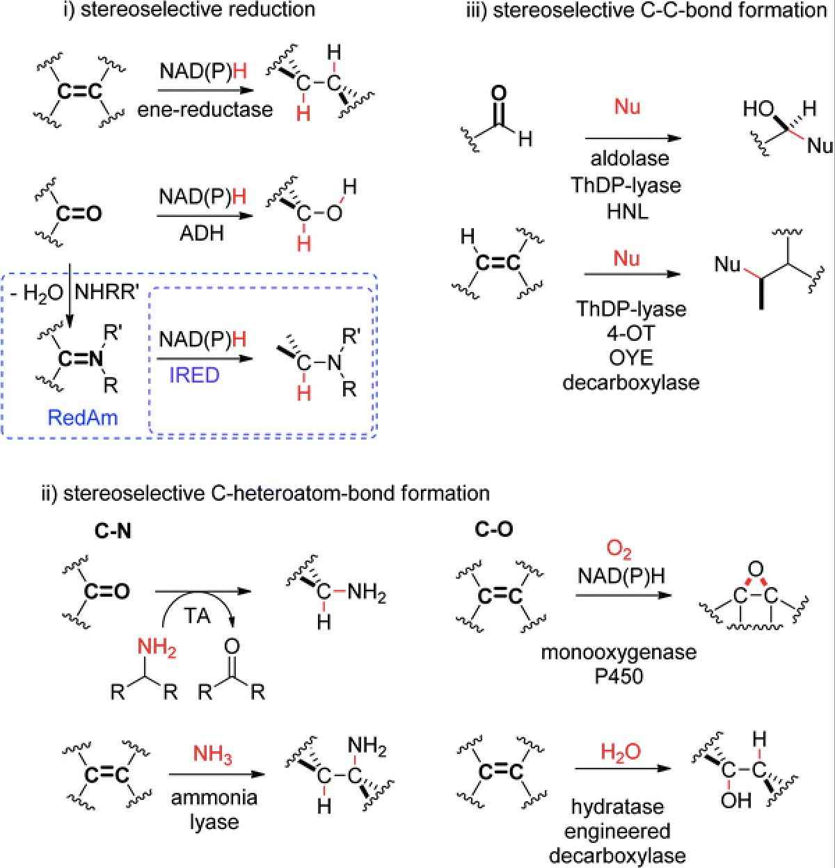 Enzymatic strategies for asymmetric synthesis (Mélanie Hall, 2021)