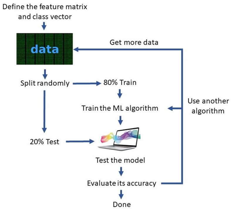 he process of creating a machine learning model.