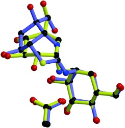 Molecular modeling of trehalase.