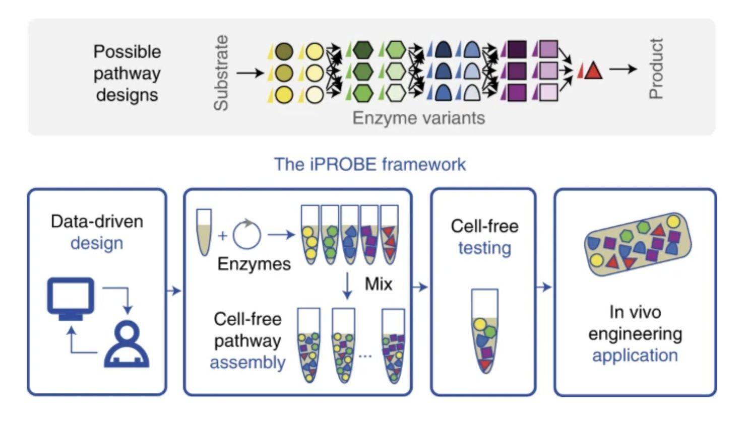 Enzyme Engineering Design and Optimization (Tobias Heck, et al., 2012)