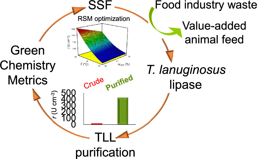 Sustainable production of lipase from thermomyces lanuginosus