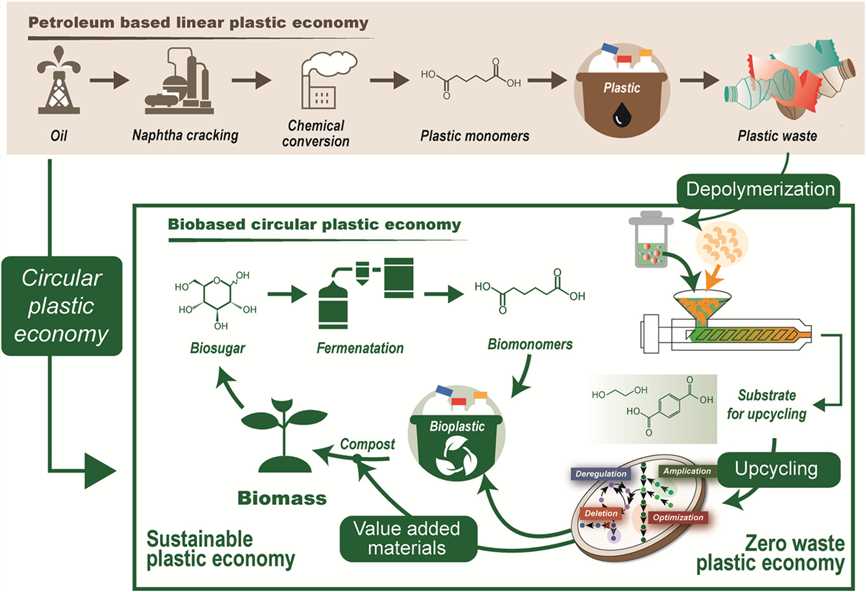 Biobased circular plastic economy.