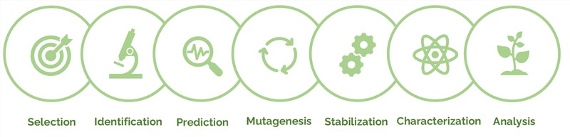 Designing Enzyme for Enantioselective Covalent Catalysis