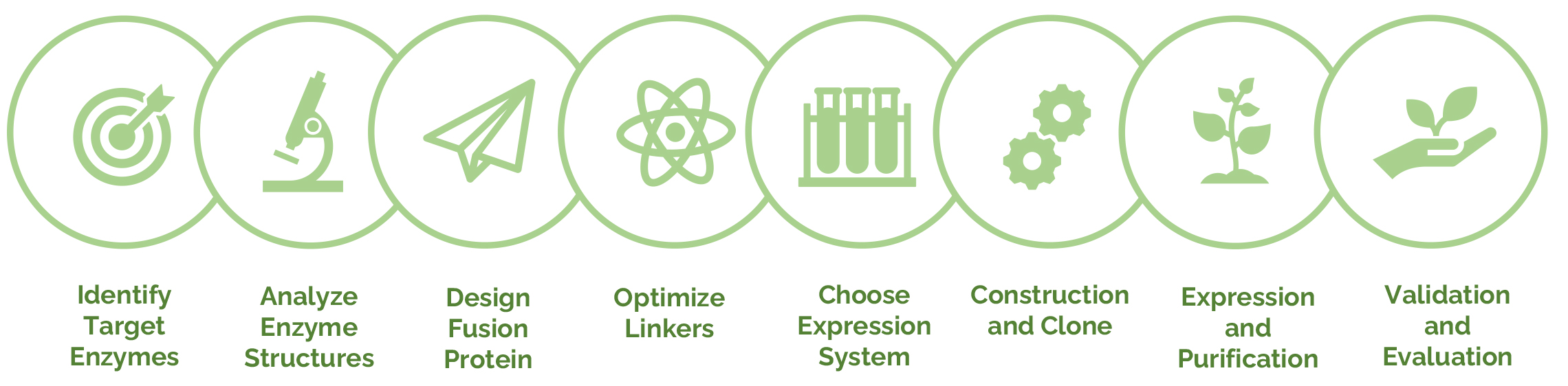 Services workflow.