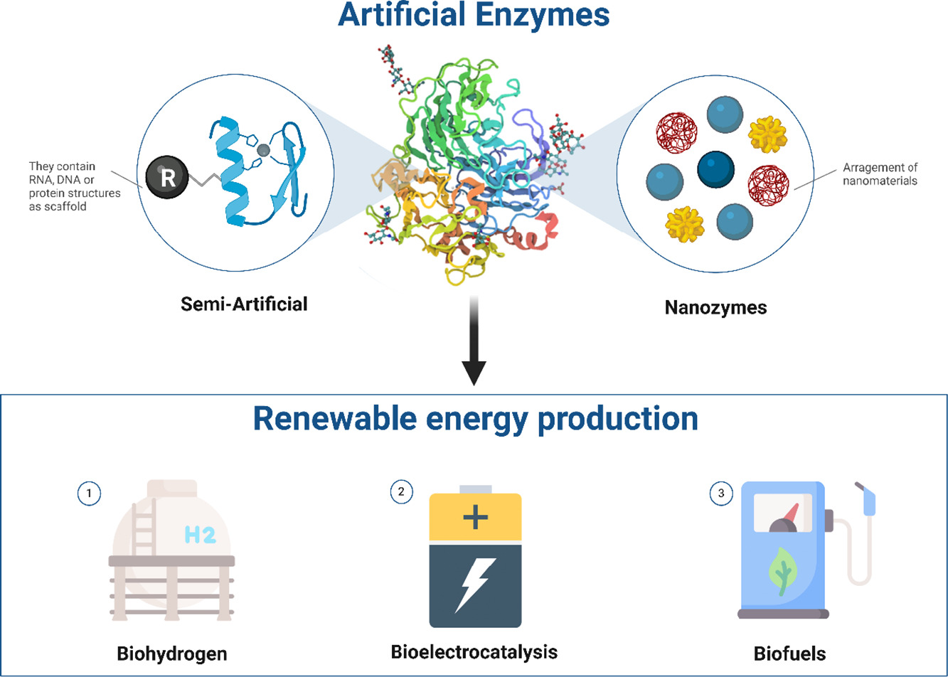 Artificial enzymes for renewable energy production. 