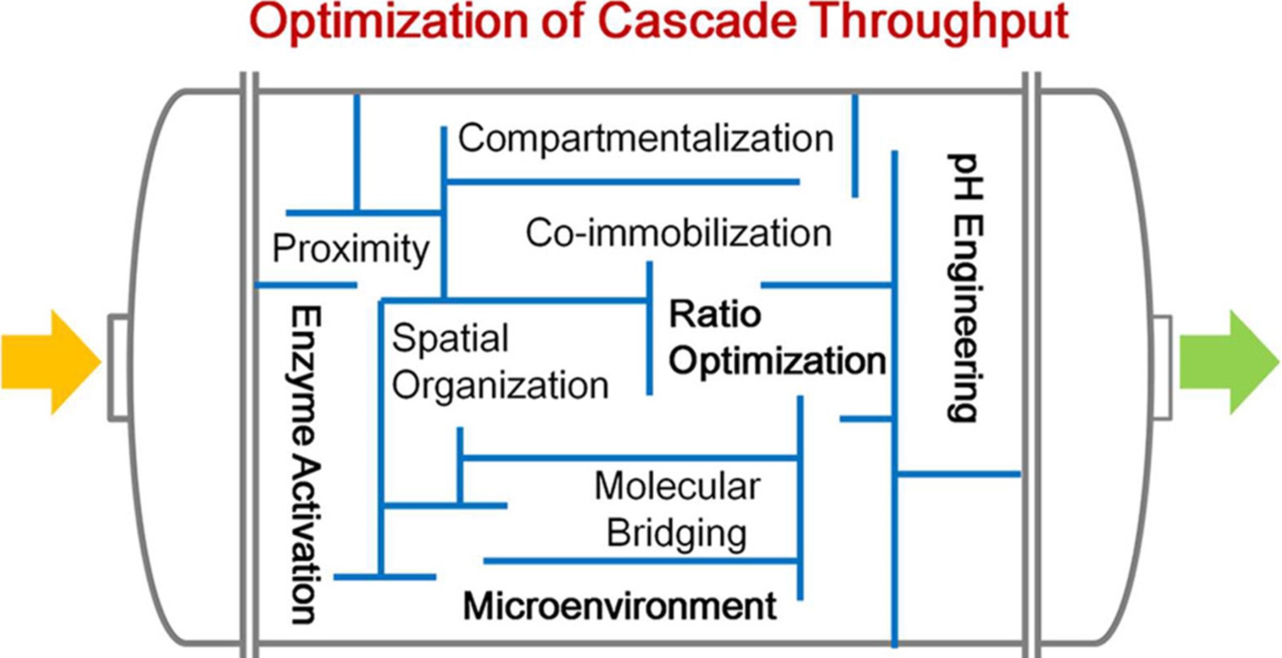  Toward rational design of high-efficiency enzyme cascades.