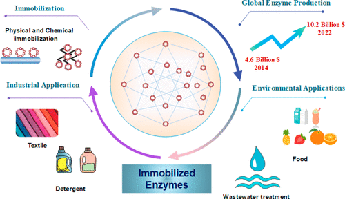 Enzyme immobilization technologies and industrial applications.