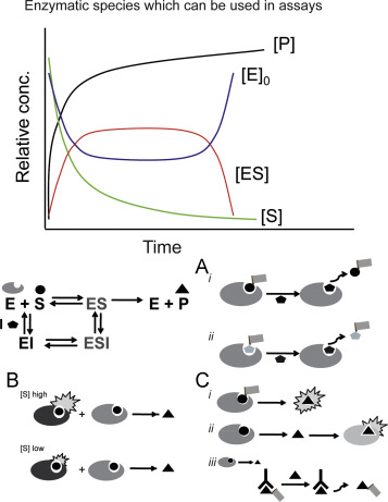 Strategies of cell-free HTS assays for enzymes (Michael G. A. and Douglas S. A., 2014)