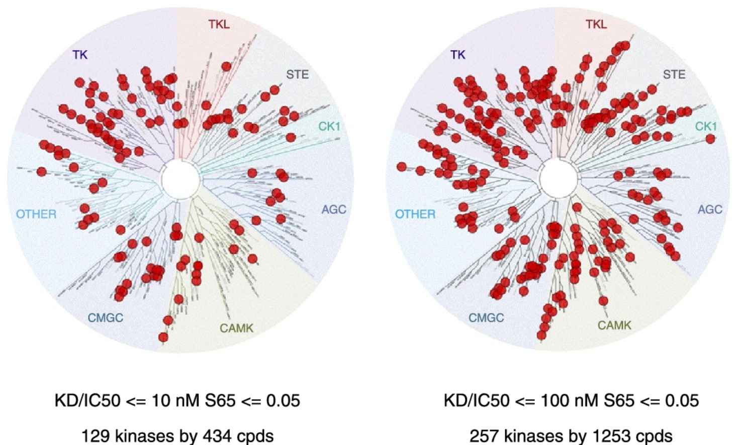 Grad-CAM results for two top enzyme candidates in reaction rules R1 and R2 (Vikas Upadhyay, et al., 2023)