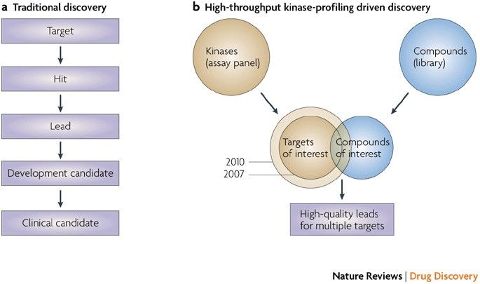 High-throughput kinase profiling as a platform for drug discovery (David M. Goldstein, et al., 2008)