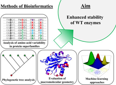 Fig. 1 Methods of bioinformatics for enzyme design.