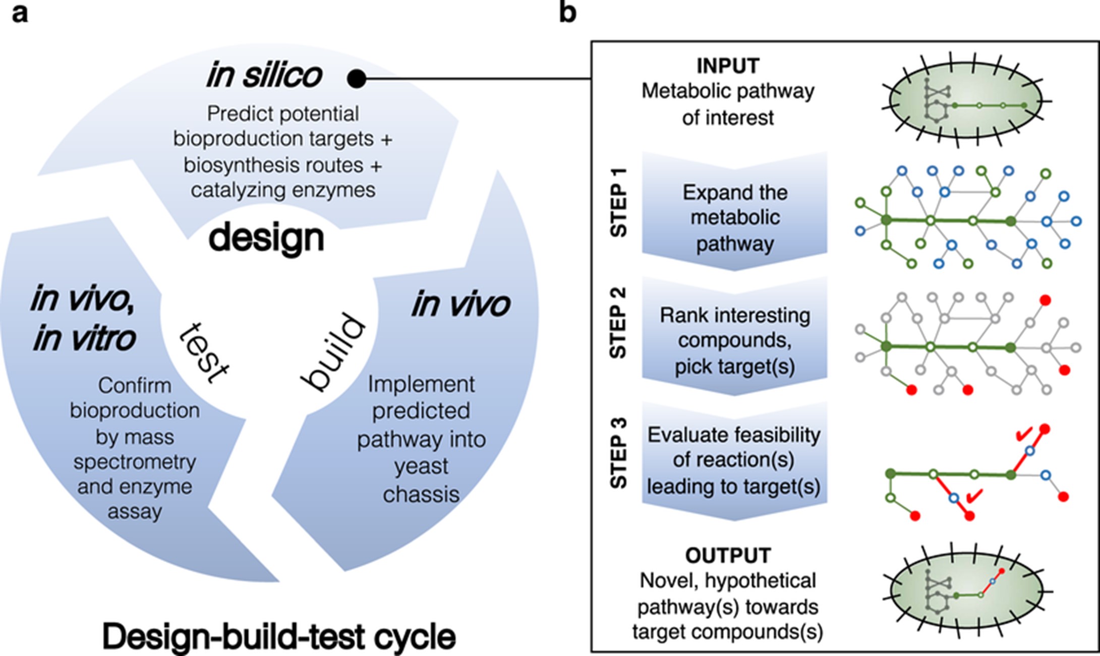 Fig. 1 Overall workflow integrating computational prediction of target compounds, pathways, and enzymes with experimental validation.