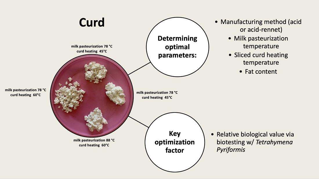 Curd formulation and manufacturing process design based on express biological evaluation tests.