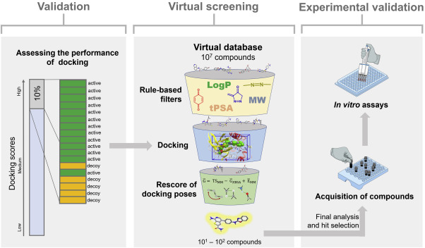 Fig. 1 Docking-based virtual screening and experimental validation.