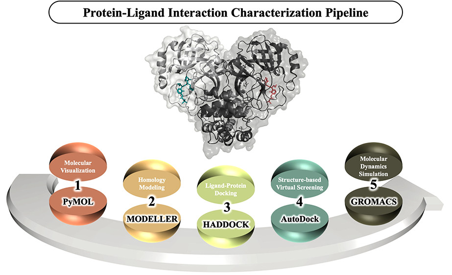 Fig. 1 In silico end-to-end protein-ligand interaction characterization pipeline.