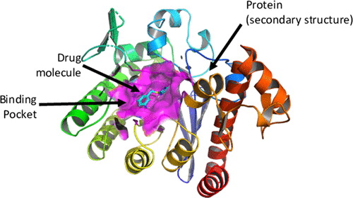 Example of a ligand–receptor.