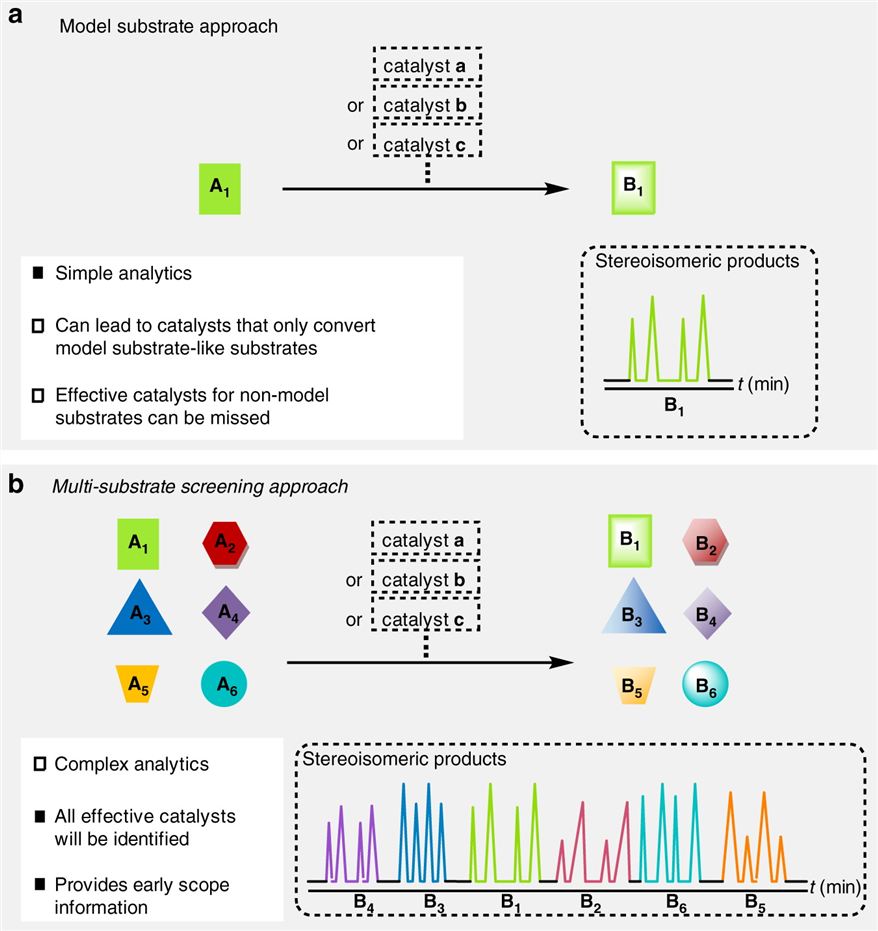 Two approaches to identify a selective catalyst. (a) Model substrate approach vs. (b) multi-substrate screening approach. 